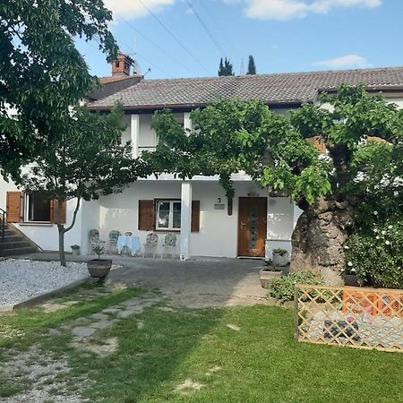 Country House Gazon Affittacamere Šmarje Esterno foto